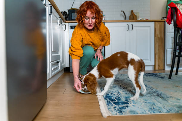 istock young woman feeding her dog 1371324066