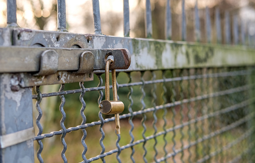 No entry concept: Detail of a massive weathered iron gate with spikes and closed with padlock before a garden yard