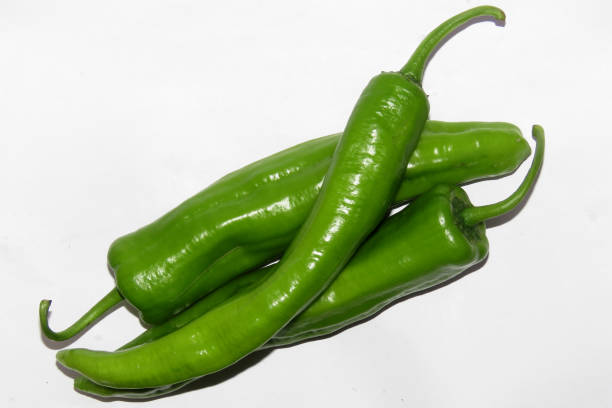 Anaheim pepper ,Green pepper on white background. Single pepper. stock photo