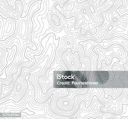istock Seamless Topographic Lines 1371329264