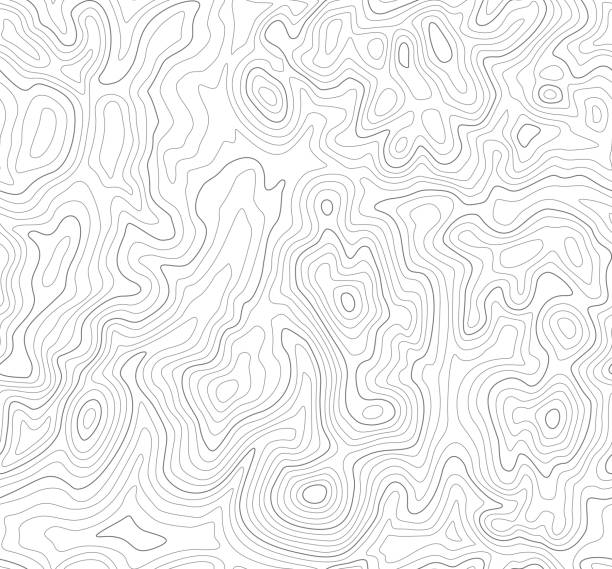 Seamless Topographic Lines Seamless Topographic Lines topography stock illustrations