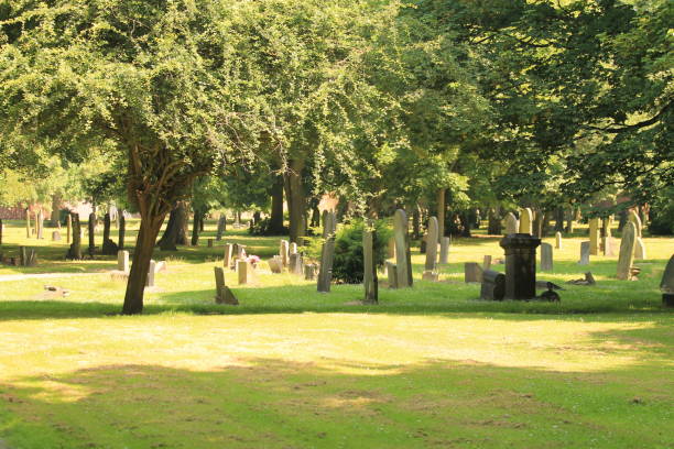istock View of old cemetery 1371330831