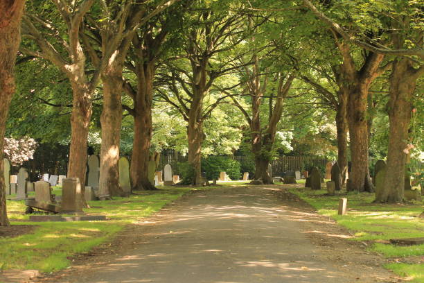 Hedon Road Cemetery Cemetery, Kingston upon Hull, England