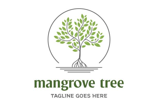 kuvapankkikuvitukset aiheesta moderni vihreä mangrove kasvipuu puutarhapuiston säilyttämiseen logo suunnittelu vektori - mangrove tree