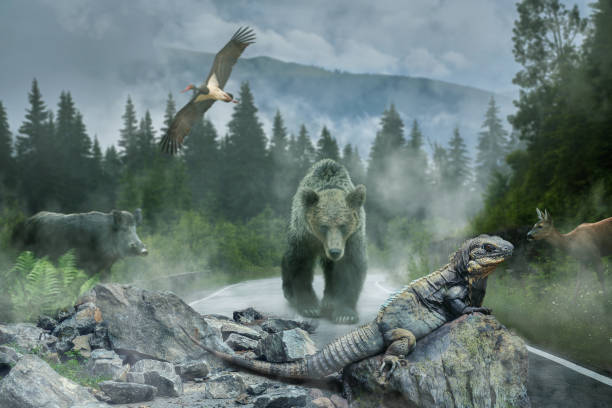 istock Conceptual post-apocalyptic image with wildlife taking over 1371332371