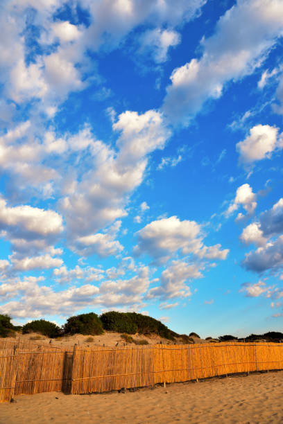 istock Nature Reserve Cava Randello Sicily, Italy 1371335034