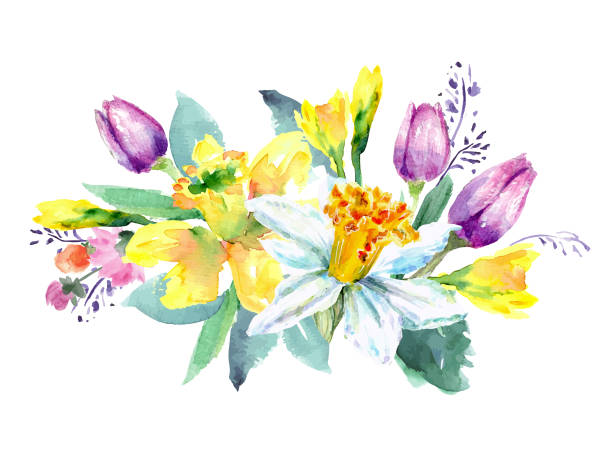 ilustraciones, imágenes clip art, dibujos animados e iconos de stock de vector de ramo de narcisos y tulipanes - yellow easter daffodil religious celebration