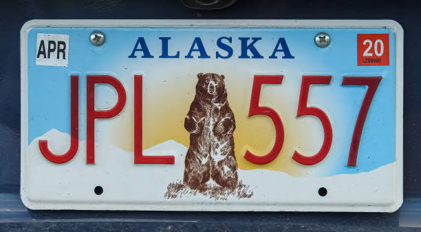 Alaska licence plate with bear