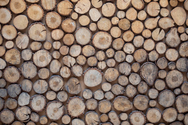 istock Big pile of logs as background. 1371340033