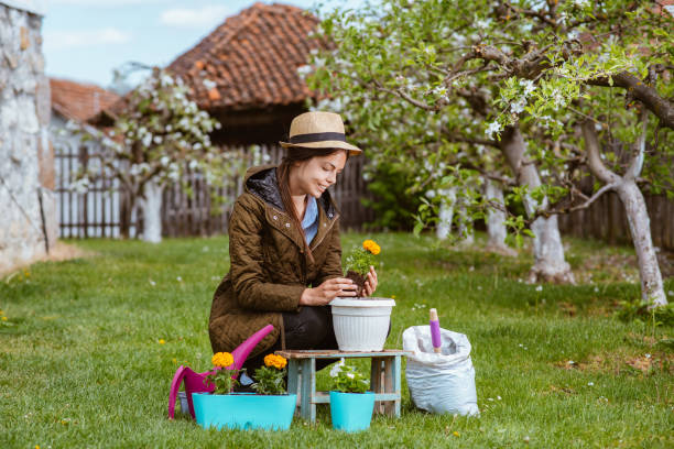 istock A beautiful young woman doing gardening in a yard 1371341676