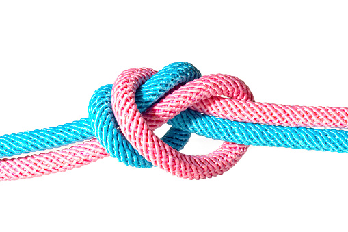 Pink and blue cords knotted together isolated on white background. Unity concept.