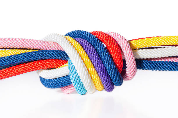 Seven multicolored cords knotted together isolated on white background. Teamwork concept.