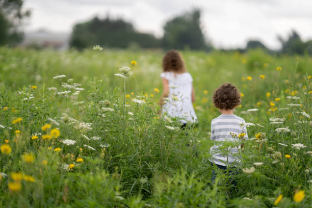 A little girl and her brother walk through a big field of Daisey's and Dandelions on a sunny summer day.  They are dressed casually and are picking some Daisey's and Dandelions as they walk along together.