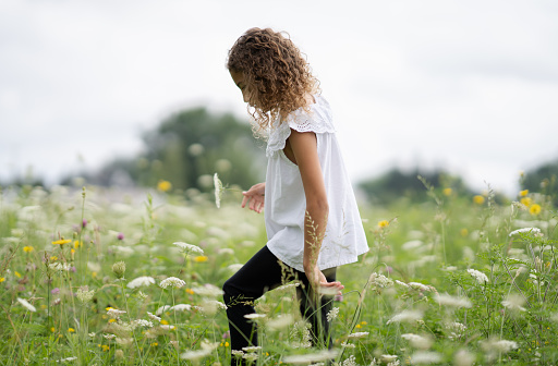 A little girl walks through a big field of Daisey's and Dandelions on a sunny summer day.  She is dressed casually in a white top and jeans as she picks flowers along her walk.