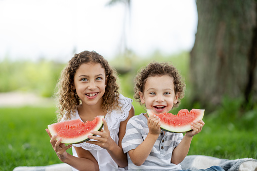 A young brother and sister sit outside on a picnic blanket together as they each enjoy a slice of Watermelon.  They are both dressed casually as they enjoy each others company and the sunny summer day.