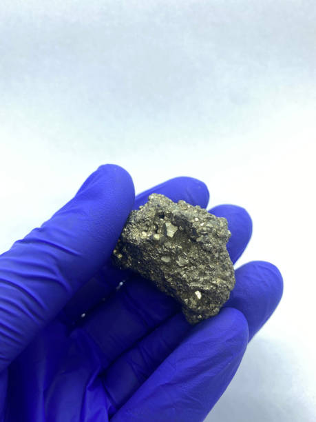 istock Foolish gold nugget kept on gloved hand closeup view isolated on white background 1371344877
