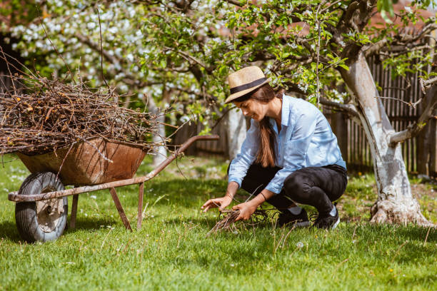 istock A beautiful young woman rolling a trolley full with branches 1371348212