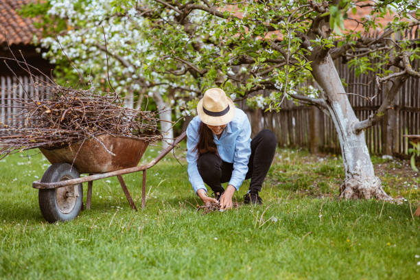istock A beautiful young woman rolling a trolley full with branches 1371348347