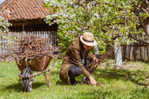 istock A beautiful young woman rolling a trolley full with branches 1371348434