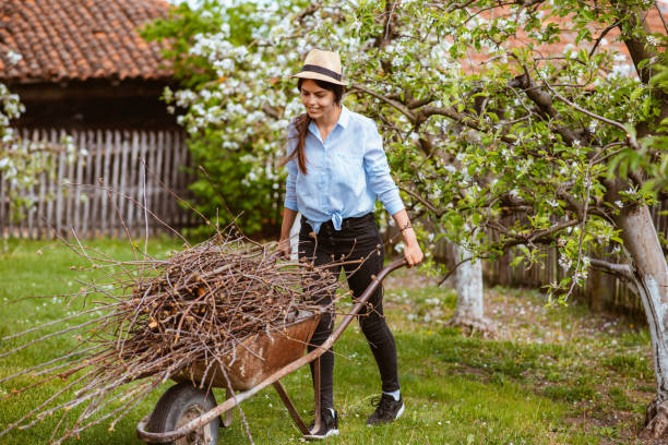 istock A beautiful young woman rolling a trolley full with branches 1371348495