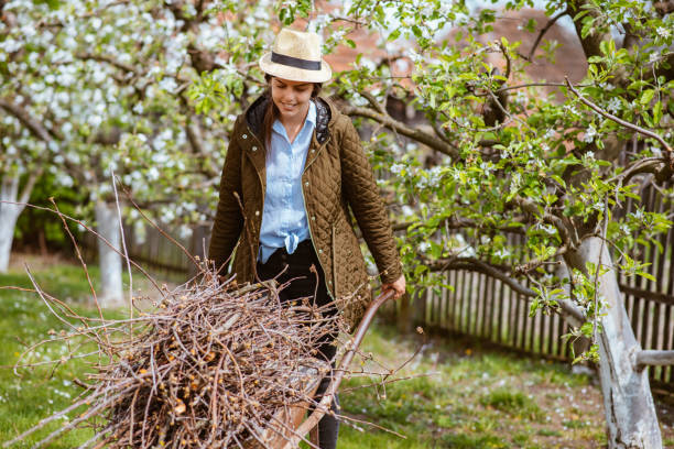 istock A beautiful young woman rolling a trolley full with branches 1371348555