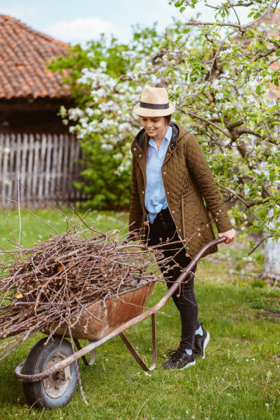 istock A beautiful young woman rolling a trolley full with branches 1371348849