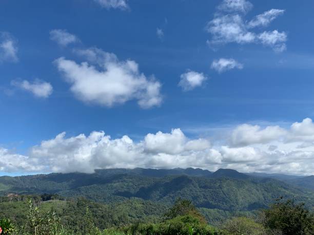 istock Farm and Hill in Aceh. 1371349608