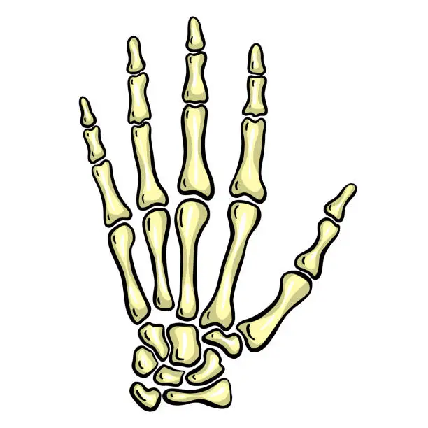 Vector illustration of Cartoon Skeleton Hand Gesture Illustration Vector for Halloween