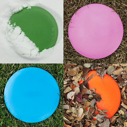 Various flying discs used for disc golf on the ground in each of the four seasons.
