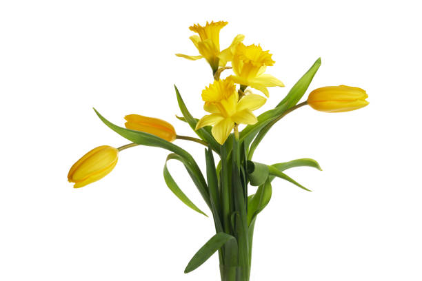 Flower arrangement in the garden