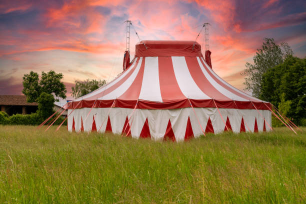 Colourful circus tent Colourful circus tent on green meadow against a colorful sunset sky circus photos stock pictures, royalty-free photos & images
