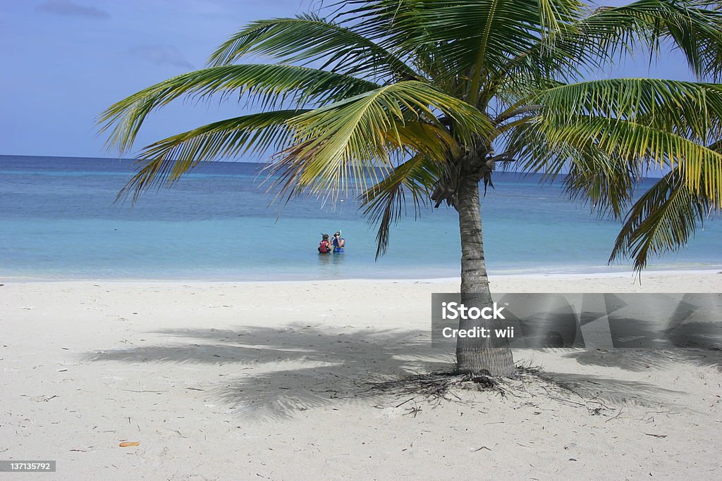 Paraíso en la playa - Foto de stock de Roatán libre de derechos