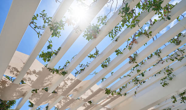 Pergola for summer terrace and sun protection stock photo