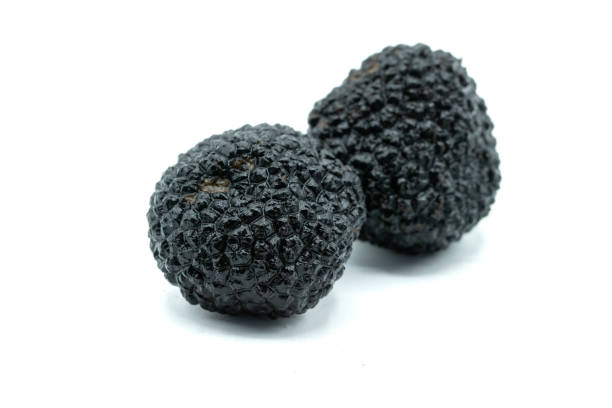 istock black mushrooms truffles 