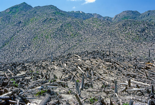 Devastation at Mt St Helens After the 1980 Eruption in Washington