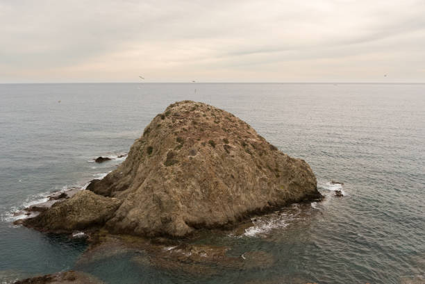 seagulls flying over the islet