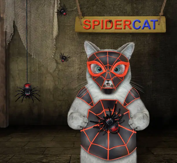 An ashen cat is wearing a spider costume in a barn. Spidercat.