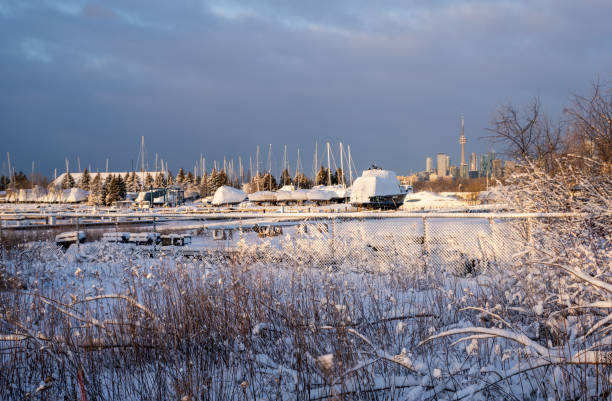 istock Toronto skyline from Tommy Thompson Park in winter，Canada 1371368813