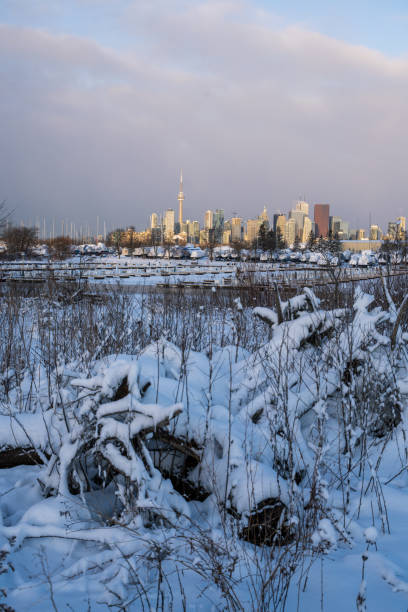 Toronto skyline from Tommy Thompson Park in winter，Canada