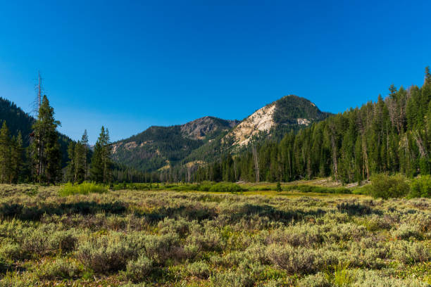 istock Sawtooth National Recreation Area, Idaho 1371369579