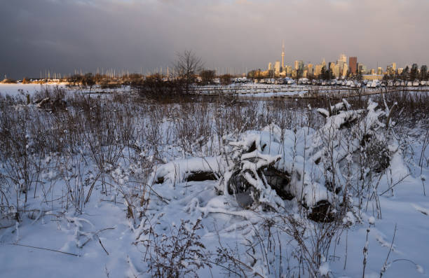 istock Toronto Park in winter with downtown in the background. 1371369650