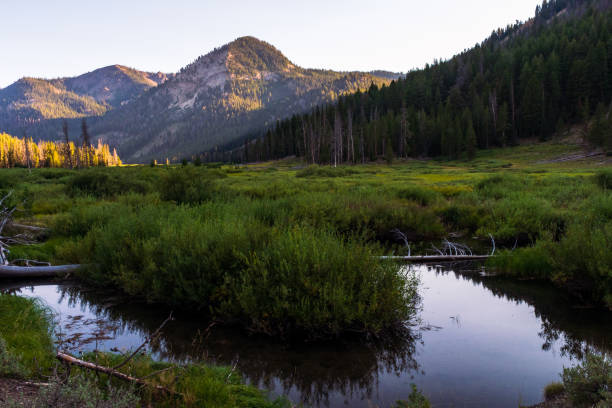 istock Sawtooth National Recreation Area, Idaho 1371369940