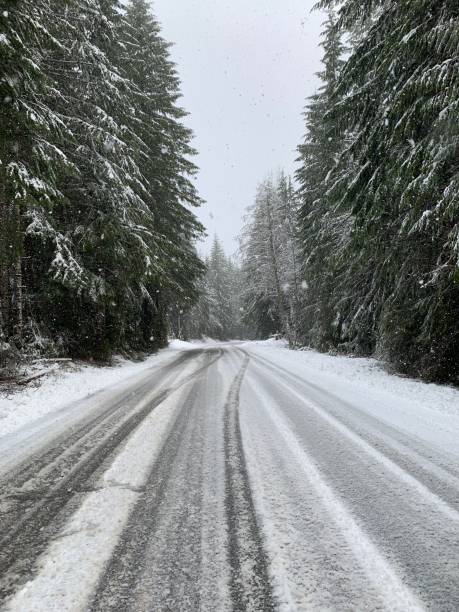 istock Snowy Travels 1371370213