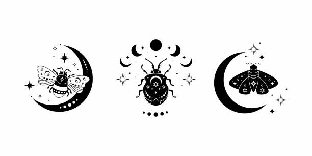 Celestial butterfly, bee and bug vector illustration set. Black silhouette.  Magic insect Celestial butterfly, bee and bug vector illustration set. Black silhouette of mystical moth with moon phases, magic composition. Magic insect, esoteric symbol. moon borders stock illustrations