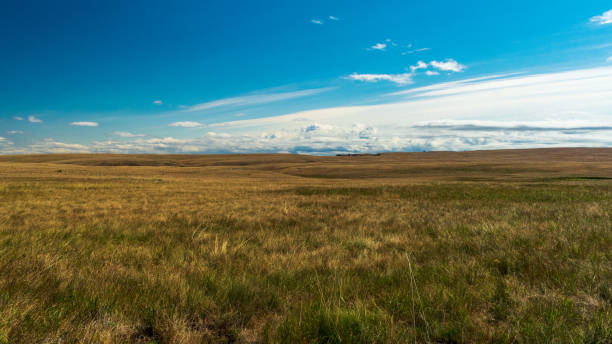 istock Hells Canyon National Recreation Area, USA 1371371014
