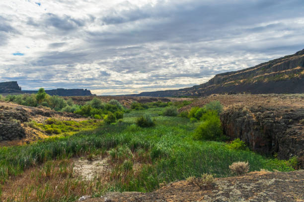 istock Sun Lakes - Dry Falls State Park, Washington 1371373694