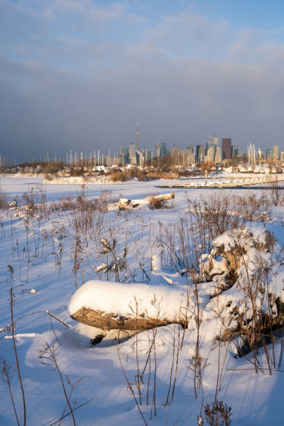 istock Toronto skyline in winter time Canada 1371374072