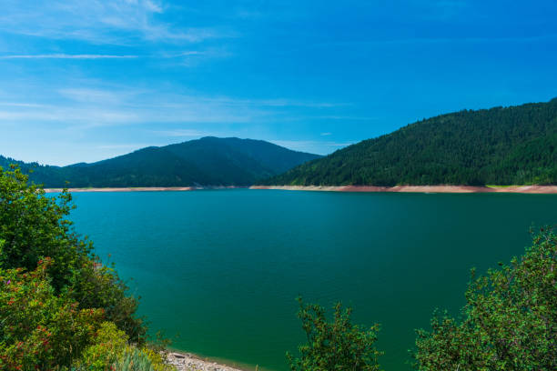 Low water levels at Palisades reservoir Summer drought conditions in the United States are reflected in low water levels in Palisades reservoir near Alpine, Wyoming, USA low viewing point stock pictures, royalty-free photos & images