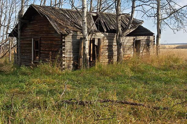 istock old abandoned farm building: log cabin on the prairie 137138703