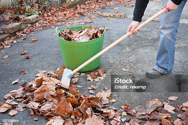 Working Hands Sweeping Autumn Leaves Stock Photo - Download Image Now - Leaf, Sweeping, Autumn